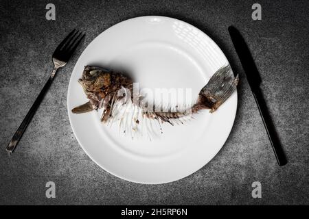 Gebratenes Fischskelett, Wirbelsäule und Knochen auf einem weißen Teller mit schwarzem Messer und Gabel auf grauem Hintergrund. Stockfoto