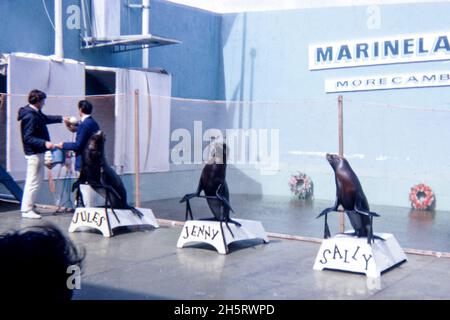 Marineland in Morecambe, 1968 Stockfoto