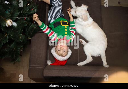 Kleiner Junge in einem Elfkostüm und Weihnachtsmütze, liegt neben einem weißen Hund auf der Couch in der Nähe des Weihnachtsbaums. Blick von oben. Fröhlich positiv festlich c Stockfoto