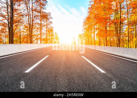 Asphaltierte Straße und bunte Wald Naturlandschaft im Herbst Saison. Stockfoto