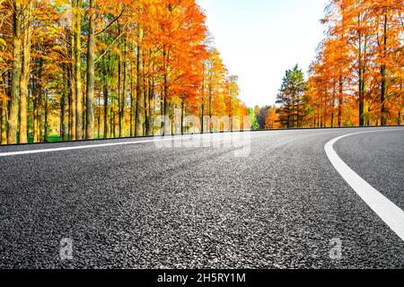 Asphaltierte Straße und bunte Wald Naturlandschaft im Herbst Saison. Stockfoto