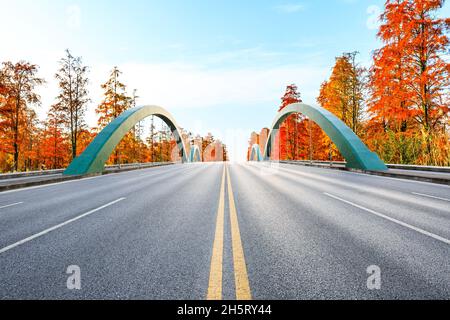 Asphaltierte Straße und bunte Wald Naturlandschaft im Herbst Saison. Stockfoto