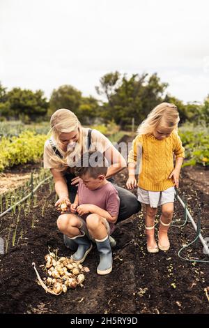 Ernte frischer reifer Zwiebeln. Glückliche junge alleinerziehende Mutter, die ihrem Sohn frisch gepflückte Zwiebeln zeigt. Liebevolle Mutter von zwei, die Gemüse von ihm ernten Stockfoto