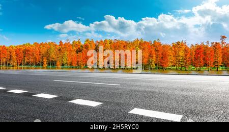 Asphaltierte Straße und bunte Wald Naturlandschaft im Herbst Saison. Stockfoto