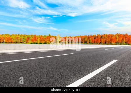 Asphaltierte Straße und bunte Wald Naturlandschaft im Herbst Saison. Stockfoto