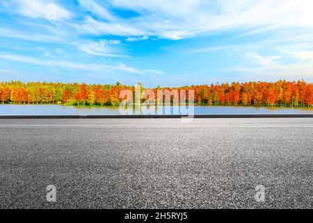 Asphaltierte Straße und bunte Wald Naturlandschaft im Herbst Saison. Stockfoto