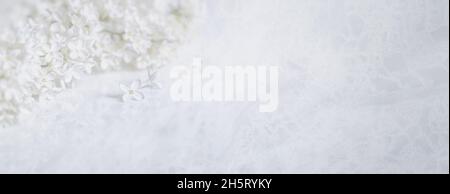 Frühlingsbanner mit Zweig blühender weißer Fliederblüten auf dem Hintergrund einer weißen gestrickten Serviette. Freier Speicherplatz für Text Stockfoto