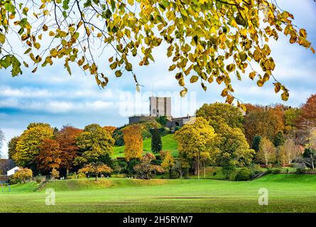 Clitheroe, Lancashire, Großbritannien. November 2021. Herbst im Clitheroe Castle, Clitheroe, Lancashire, Großbritannien. Quelle: John Eveson/Alamy Live News Stockfoto