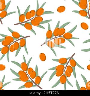 Sanddorn nahtlose Muster, Vektor-Illustration. Zweige mit Beeren und Blättern, Hintergrund. Schablone mit orangen frischen Beeren für Tapeten, fabr Stock Vektor