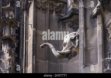 Ulm, Baden-Württemberg, Deutschland: Wasserspeier, ausgeführt als Elefantenkopf in Stein, auf der Südseite des Münster. Stockfoto