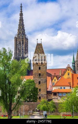 Ulm, Baden-Württemberg, Deutschland: Die historischen Häuser des Fischerviertels, die alte Stadtmauer, der Schiefe Turm und das Münster. Stockfoto