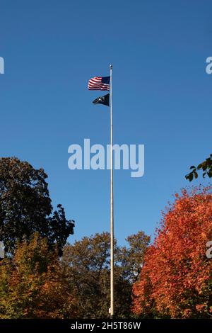 Der Central Park ist beliebt in der Herbstsaison, New York City, USA Stockfoto