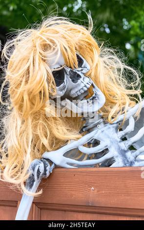 Weibliches Skelett mit blonden Perücke Halloween Dekorationen, NC Cafe, Saintes Maries de la Mer, Camargue, Frankreich Stockfoto