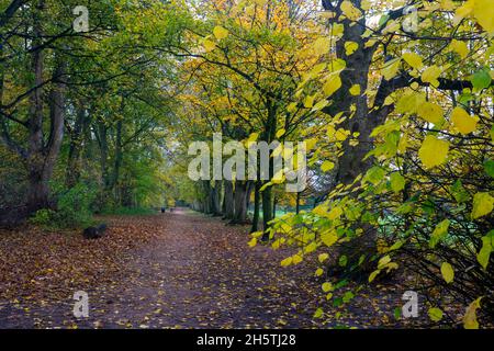 Dorridge Park im Herbst, Dorridge, West Midlands, England, Großbritannien Stockfoto