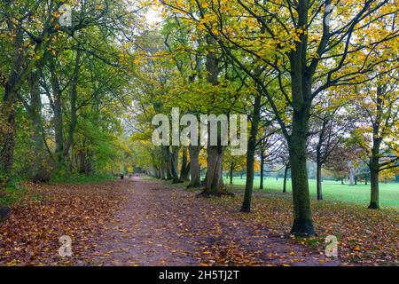 Dorridge Park im Herbst, Dorridge, West Midlands, England, Großbritannien Stockfoto