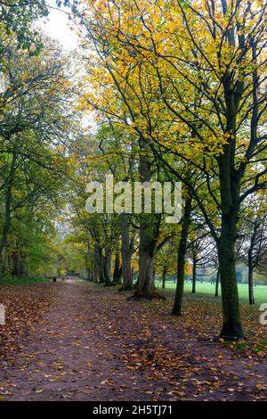 Dorridge Park im Herbst, Dorridge, West Midlands, England, Großbritannien Stockfoto