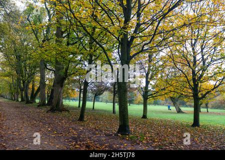Dorridge Park im Herbst, Dorridge, West Midlands, England, Großbritannien Stockfoto