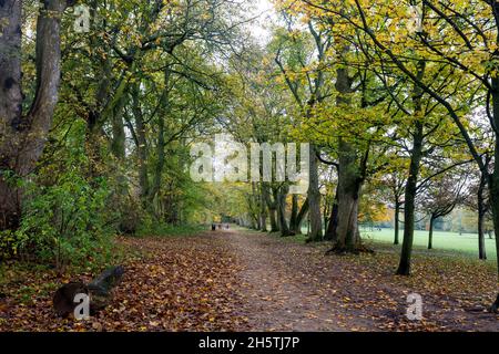 Dorridge Park im Herbst, Dorridge, West Midlands, England, Großbritannien Stockfoto
