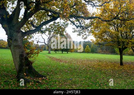 Dorridge Park im Herbst, Dorridge, West Midlands, England, Großbritannien Stockfoto