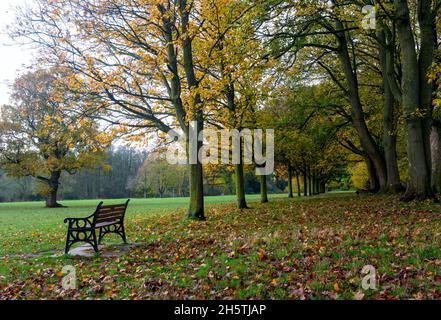 Dorridge Park im Herbst, Dorridge, West Midlands, England, Großbritannien Stockfoto