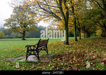 Dorridge Park im Herbst, Dorridge, West Midlands, England, Großbritannien Stockfoto