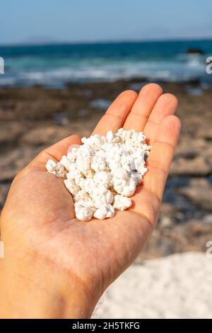 Vertikale Aufnahme von Korallenfetzen in Form von Popcorn in der Palme am Popcorn Beach, Spanien Stockfoto