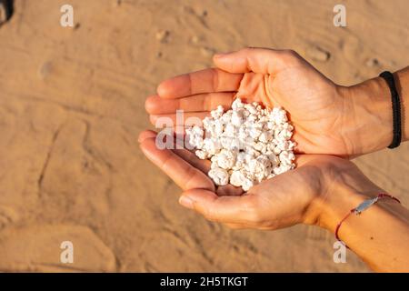 Korallenreste in Form von Popcorn in den Palmen eines Weibchens am Popcorn Beach, Spanien Stockfoto