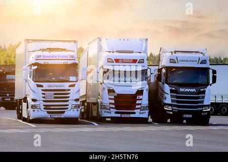 Drei weiße Scania-Gütertransporter an einem Lkw-Stopp im Morgenlicht. Forssa, Finnland. 31. Juli 2020. Stockfoto