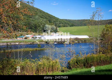 Warren, Pennsylvania - die Allegheny National Fish Hatchery am Allegheny River, direkt unterhalb des Kinzua Dam. Betrieben von der US Fish and Wildlife Stockfoto