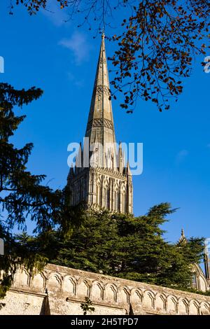 St Mary's Cathedral, Salisbury, Wiltshire, England Stockfoto