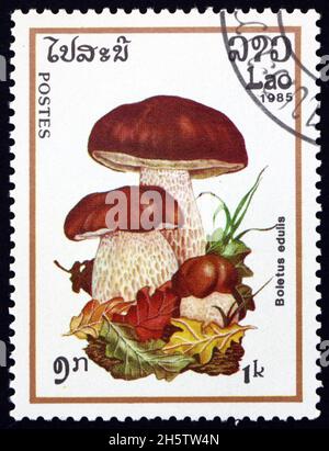 LAOS - UM 1985: Eine in Laos gedruckte Marke zeigt cep, boletus edulis, essbare Pilze, um 1985 Stockfoto