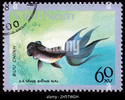 VIETNAM - UM 1977: Eine in Vietnam gedruckte Marke zeigt Dong Nai Goldfisch, carassius auratus, Süßwasserfische, um 1977 Stockfoto