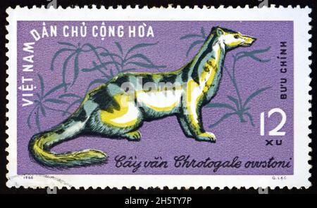 VIETNAM - UM 1965: Eine in Vietnam gedruckte Marke zeigt Owstons Palm Civet, chrotogale owstoni, ist eine Zibet aus Vietnam, Laos und Südchina, Stockfoto