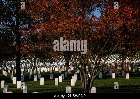 Arlington, USA. November 2021. Der Friedhof von Arlington wird vor einer Prozession zu Ehren des hundertjährigen Bestehens des Grabes des unbekannten Soldaten in Arlington, Virginia, USA, am Donnerstag, den 11. November, 2021. Das Grab des unbekannten Soldaten, das als Herz des Nationalfriedhofs von Arlington diente, hat eine letzte Ruhestätte für eines der nicht identifizierten Dienstmitglieder des Ersten Weltkriegs in Amerika bereitgestellt, und Unbekannte aus späteren Kriegen wurden 1958 und 1984 hinzugefügt. Foto von Sarah Silbiger/Pool/ABACAPRESS.COM Quelle: Abaca Press/Alamy Live News Stockfoto