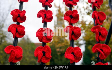 In Marlow, Buckinghamshire, wurden Hunderte von Stoffmohn auf Geländer gelegt. Menschen in ganz Großbritannien werden um 11 Uhr ein zweiminütiges Schweigen halten, um sich an die Kriegtot zu erinnern. Bilddatum: Donnerstag, 11. November 2021. Stockfoto