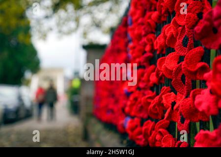 In Marlow, Buckinghamshire, wurden Hunderte von Stoffmohn auf Geländer gelegt. Menschen in ganz Großbritannien werden um 11 Uhr ein zweiminütiges Schweigen halten, um sich an die Kriegtot zu erinnern. Bilddatum: Donnerstag, 11. November 2021. Stockfoto