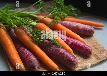 Nahaufnahme eines Bündels violetter und oranger Karotten auf einem Sack und dunklem Hintergrund Stockfoto