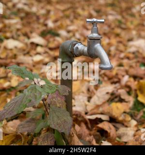 Wasserhahn im Garten mit Laub im Hintergrund Stockfoto