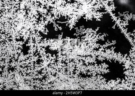 Winterhintergrund. Unschärfe-Unschärfe. Selektiver Fokus. Muster auf einem Fenster aus Kristallen aus gefrorenem Schnee auf schwarzem Hintergrund. Abstrakte Malerei aus Eis. Stockfoto