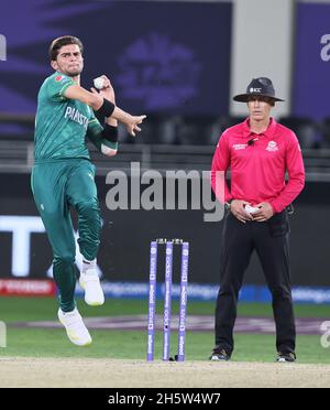 Dubai, VAE, 11, Nov 2021: ICC T20 2. Halbfinale: Pakistan gegen Australien: Shaheed Afridi von Pakistan in Aktion während der 2. Halbzeit im Dubai-Stadion am Donnerstag. Bildnachweis: Seshadri SUKUMAR Kredit: Seshadri SUKUMAR/Alamy Live Nachrichten Stockfoto