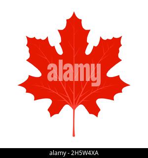 Blatt rot Ahorn Ahorn Vektor kanada Symbol. Abbildung: Ahornblatt. Blattvektorsymbol Ahorn. Clipart-Blattvektor Stock Vektor