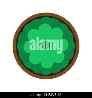 Pflanzenhaus Indoor-Vektor-Kunst. Sukkulenten Pflanzen gegossen von Hand gezeichneten Haus Pflanzen Vektor-Illustration Stock Vektor