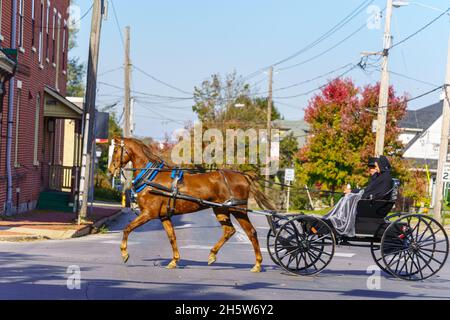 Strasburg, PA, USA - 7. November 2021: Ein von Pferden gezogener Amish-Buggy wird als Haupttransportwagen in Lancaster County, PA, verwendet. Stockfoto