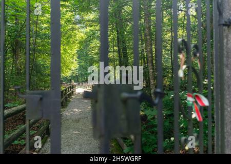 Friedhof aus dem Ersten Weltkrieg in der Nähe des Bohinjer Sees Stockfoto