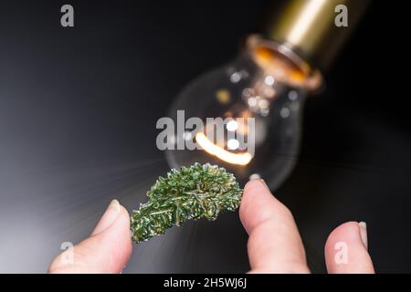 Sammler Hand hält grünen Moldavite Edelstein in Hintergrundbeleuchtung. Schwarzer Hintergrund. Seltenes Kieselsäure-Mineral kosmischen Ursprungs in der weißen Lichtkugelstrahlung. Stockfoto