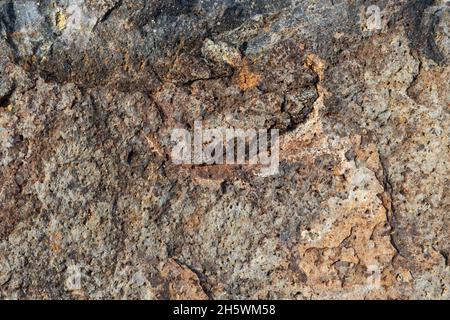 Rissige und abstrakte Grunge-Textur. Hintergrund der veralterten Materialoberfläche. Verwittertes Effektmuster. Alter und schmutziger Hintergrund. Grafikressource. Stockfoto