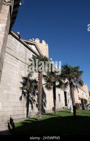 Die Wände von Ávila und Palmen vor blauem, klarem Himmel Hintergrund in der San Segundo Straße, Avila in Spanien. Stockfoto