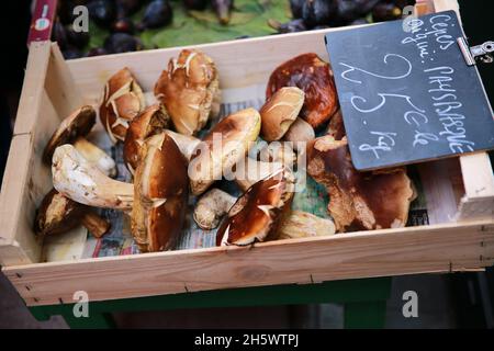 CEP Pilze zu verkaufen, Pays Basque, Pyrenäen, Frankreich Stockfoto