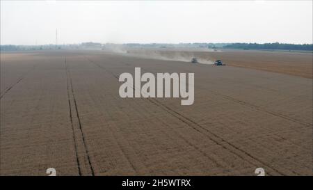 Kombinieren Sie die Ernte von Weizen auf dem Feld. Reinigung des Weizenfeldes im Sommer. Stockfoto