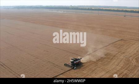 Kombinieren Sie die Ernte von Weizen auf dem Feld. Reinigung des Weizenfeldes im Sommer. Stockfoto